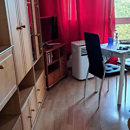 Apartment Ferienapartment-leipzig-plagwitz *