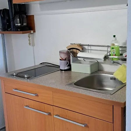 Apartment Ferienapartment-leipzig-plagwitz Leipzig